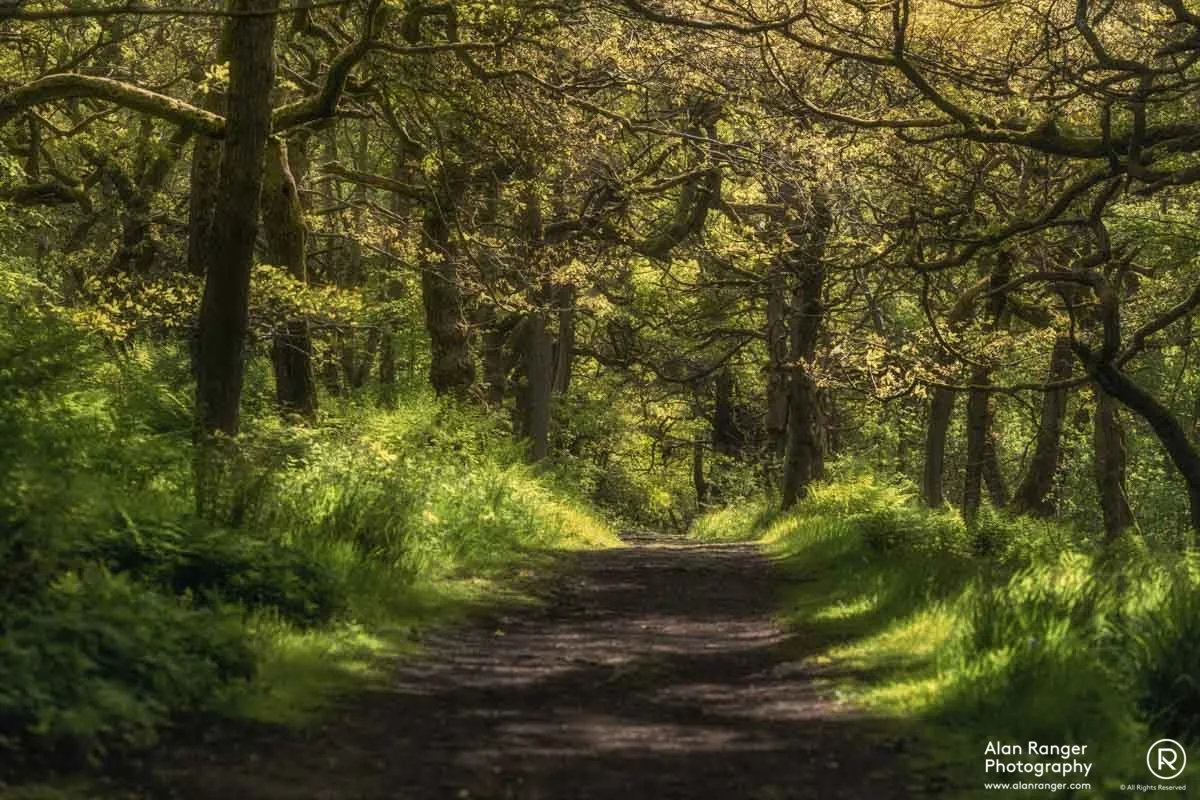 woodland greens