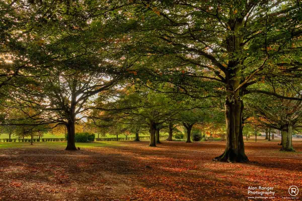 autumn at memorial park