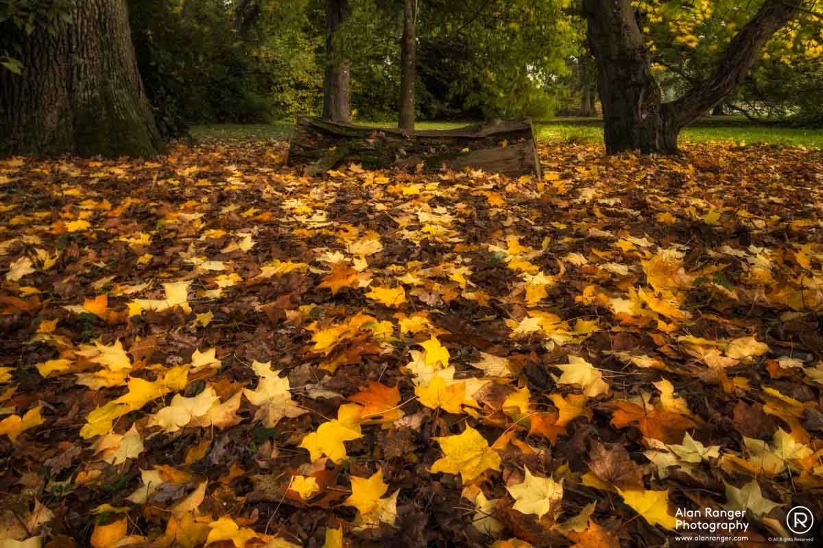 Batsford Autumn 1