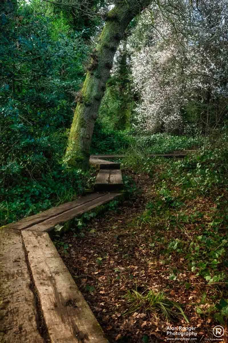 pathway 1