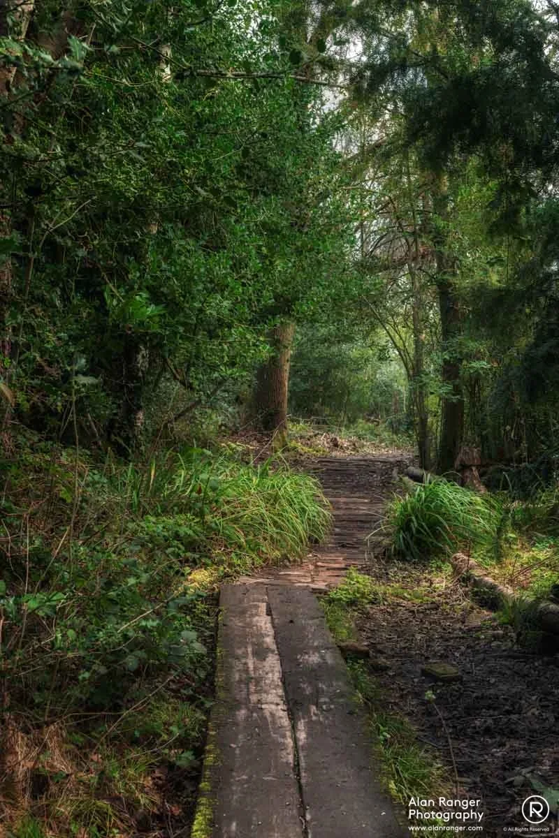 pathway 2