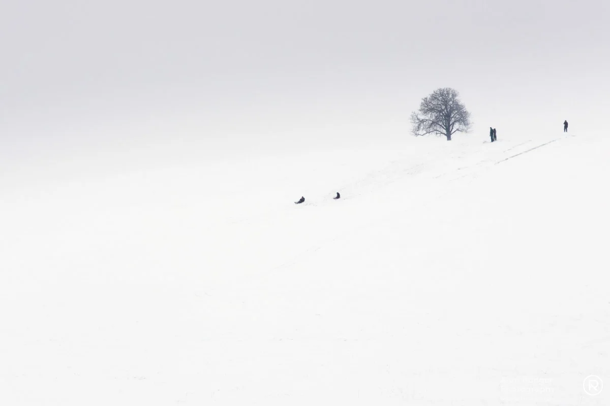 sledging