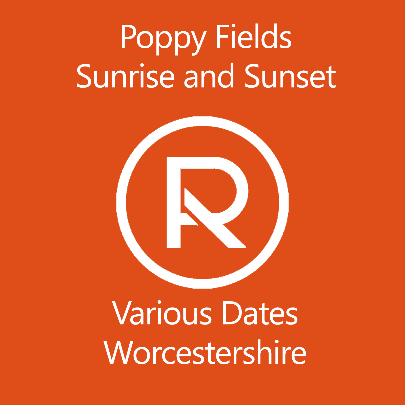 poppy fields photography workshop