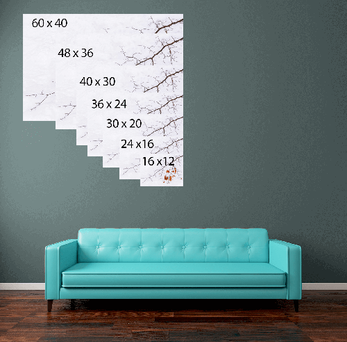 Print sizes.png