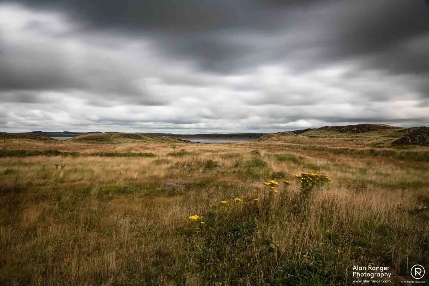 Llanddwyn Island 2019 - 4.jpg