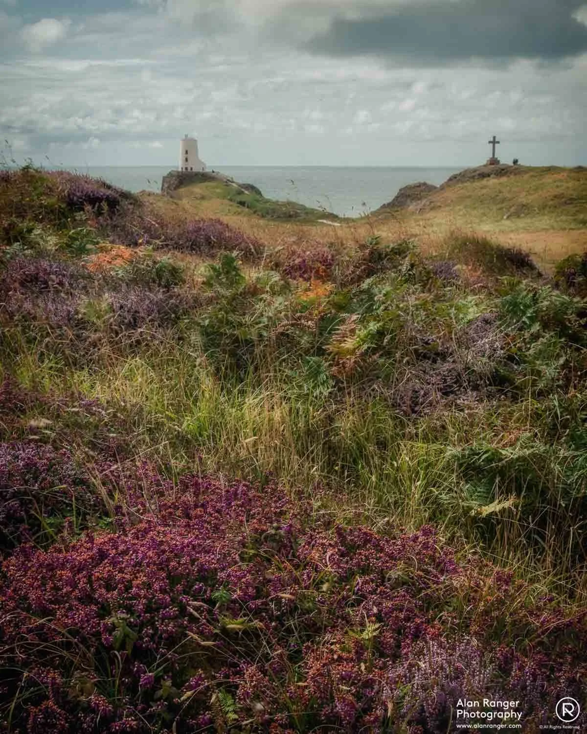 Llanddwyn Island 2019 - 16.jpg