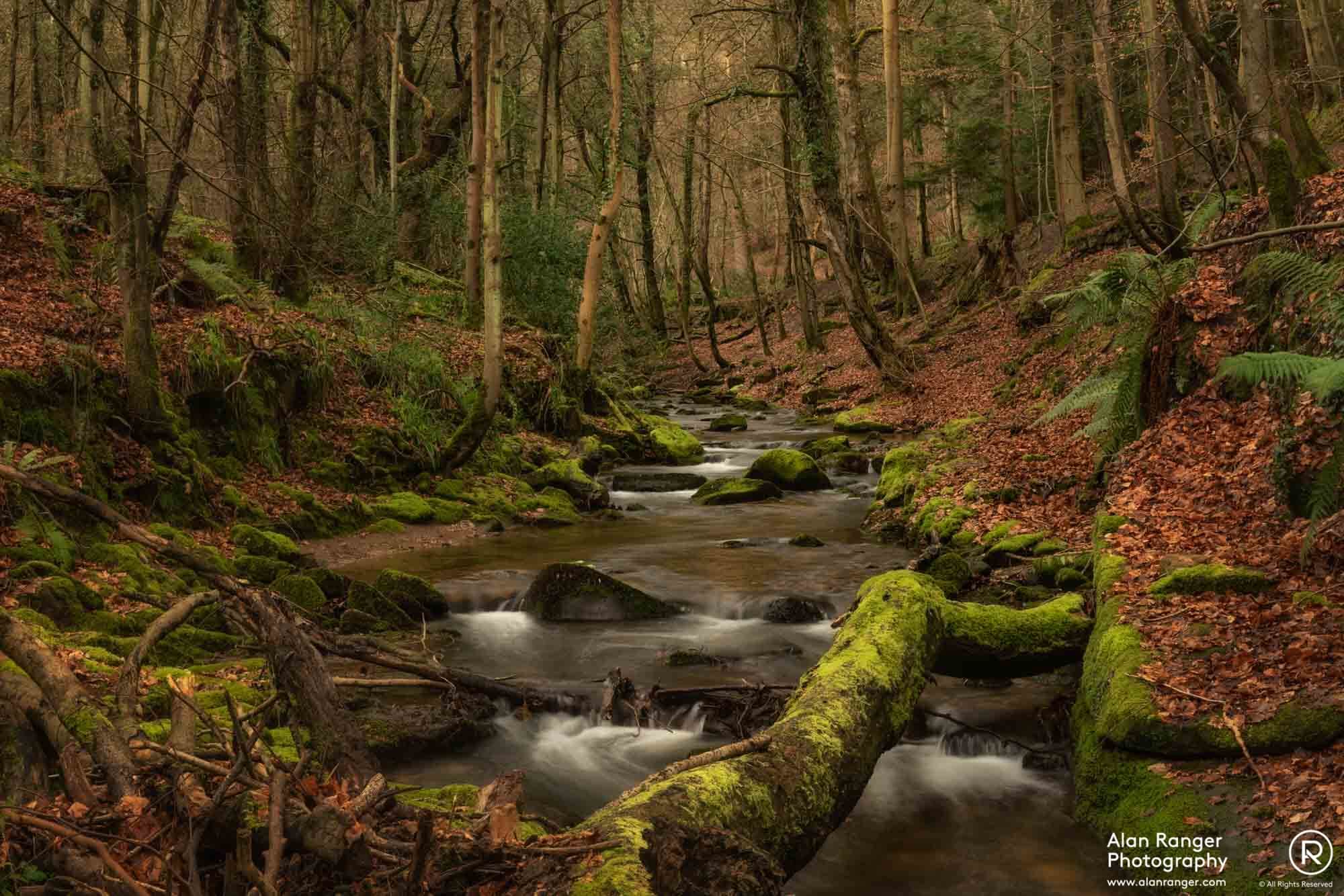 nant-mill-photography-workshops.jpg