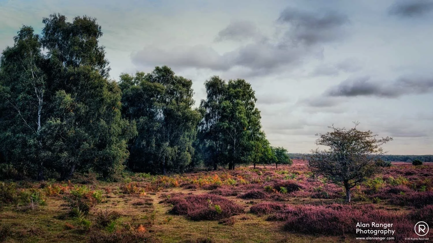 Roydon 2