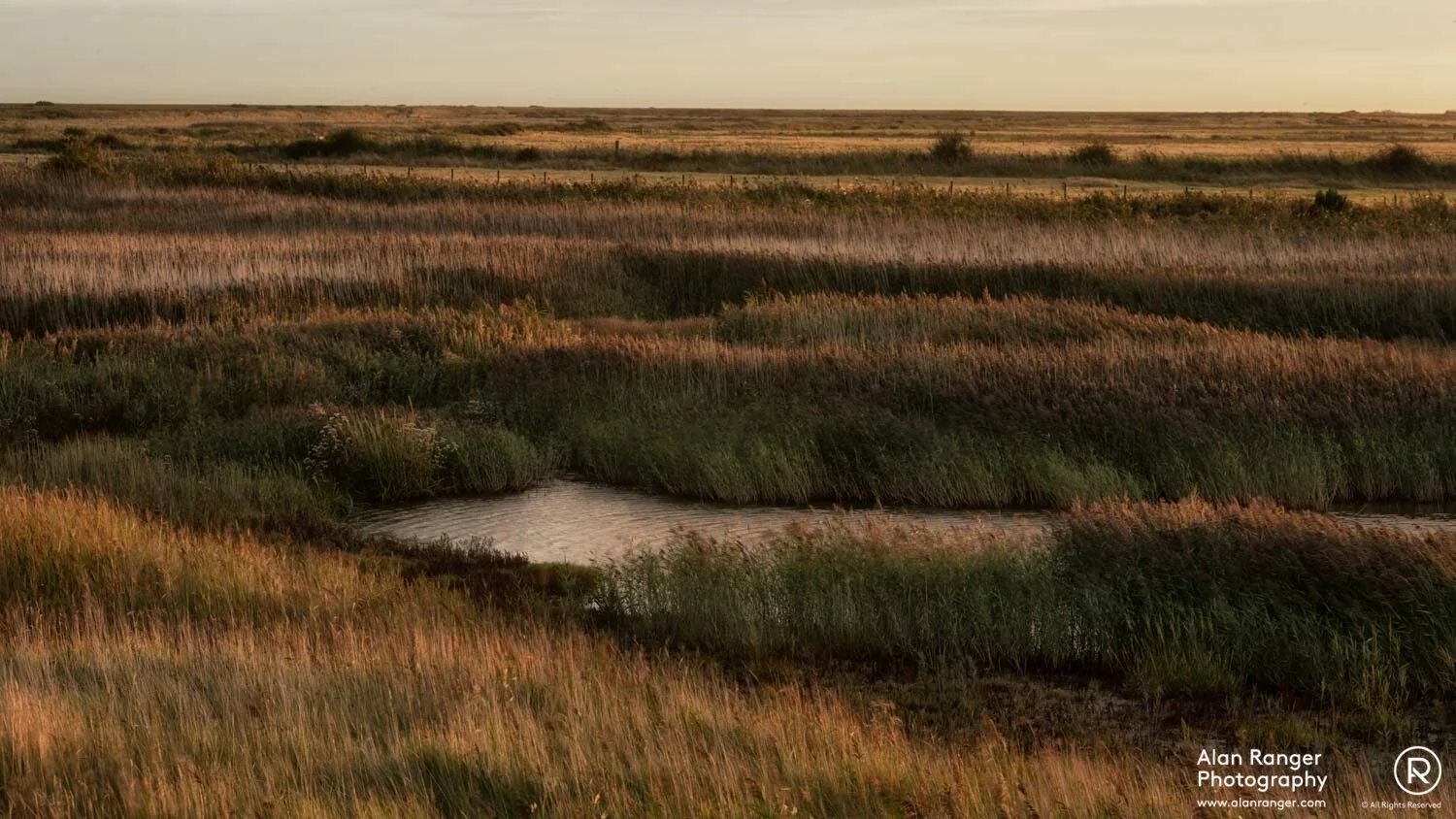 Blakeney Nature Reserve