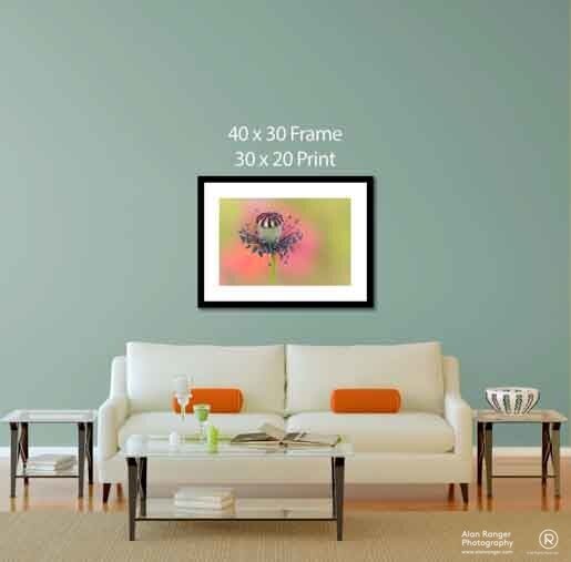 framed fine art photography prints