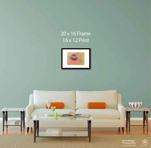 framed fine art photography prints