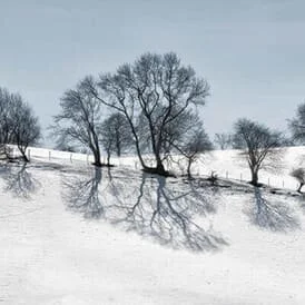 christmas-photography-workshops-2.jpg