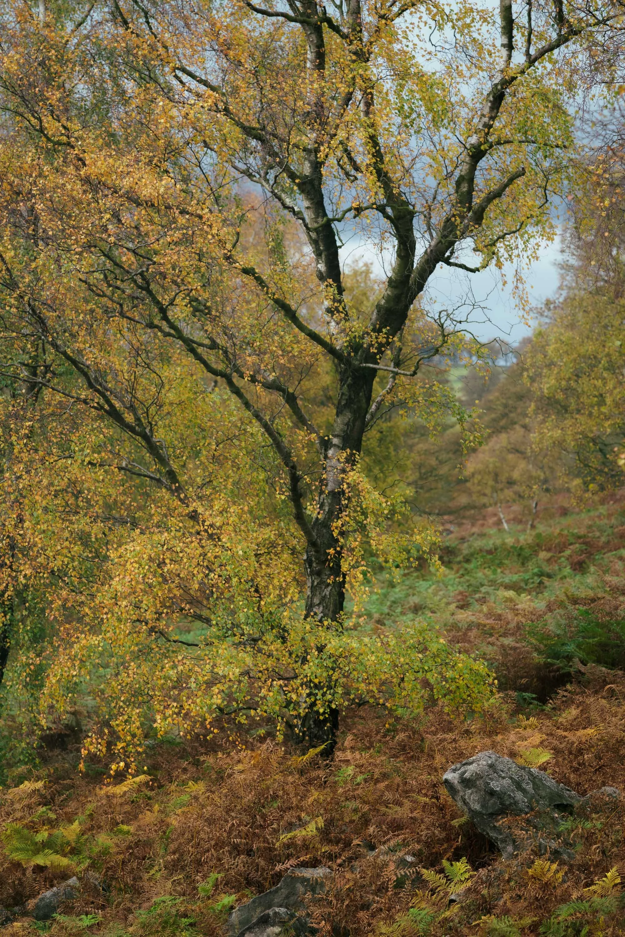 Outdoor Landscape Photography throughout the UK