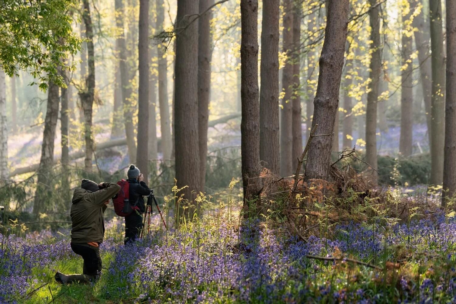 Landscape Photography Vision