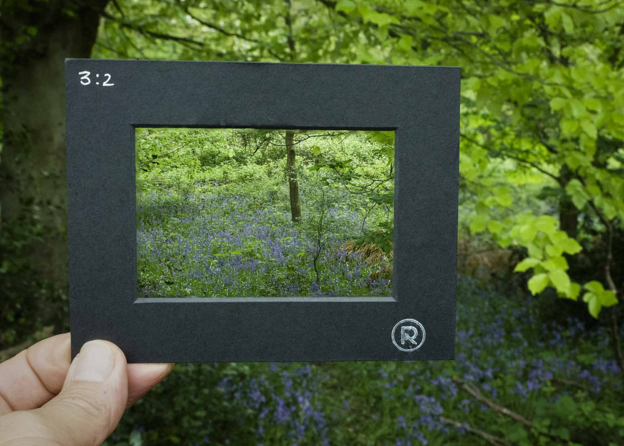 Viewing Frames for Composition