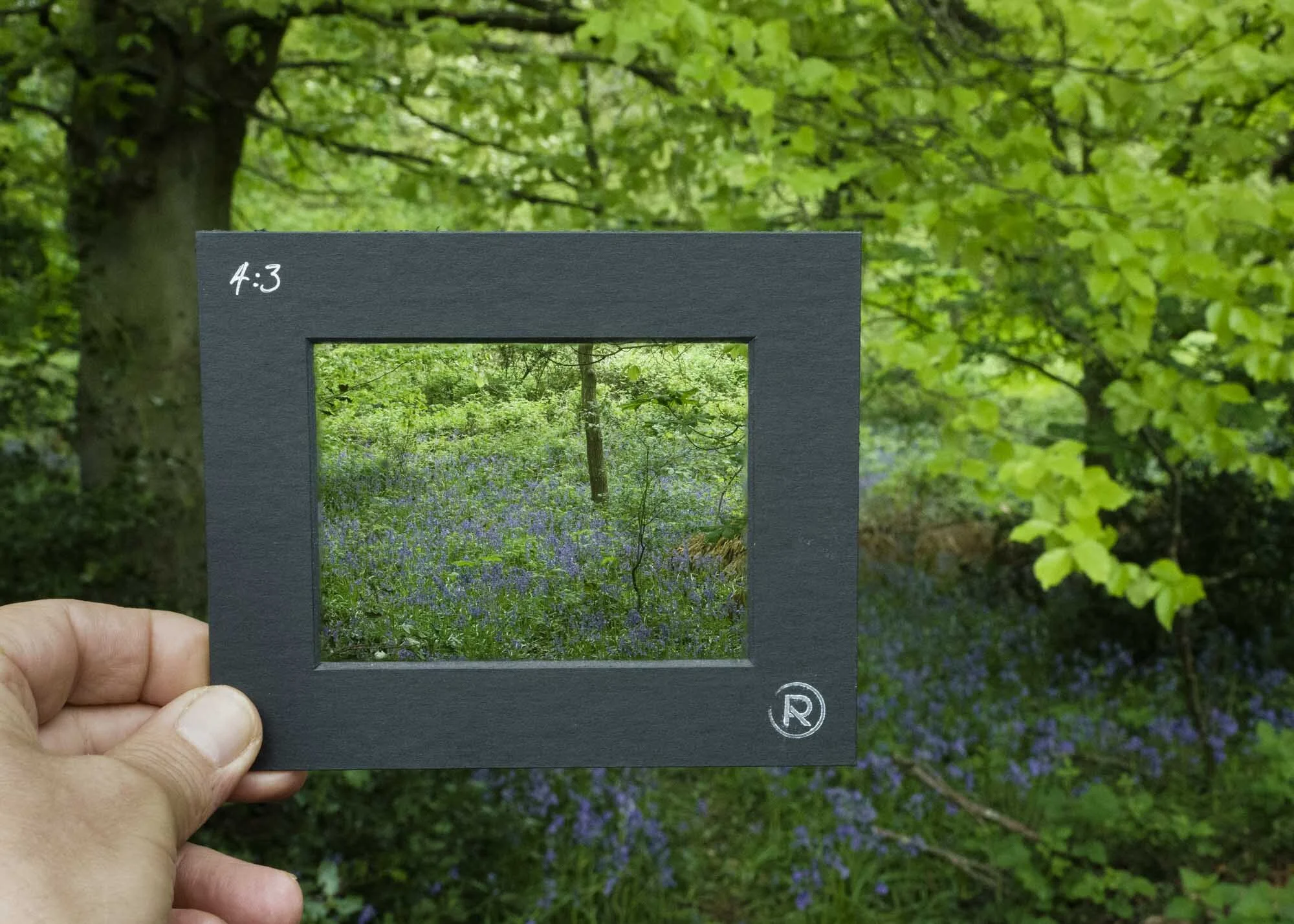 Photography Composition Viewing Frames