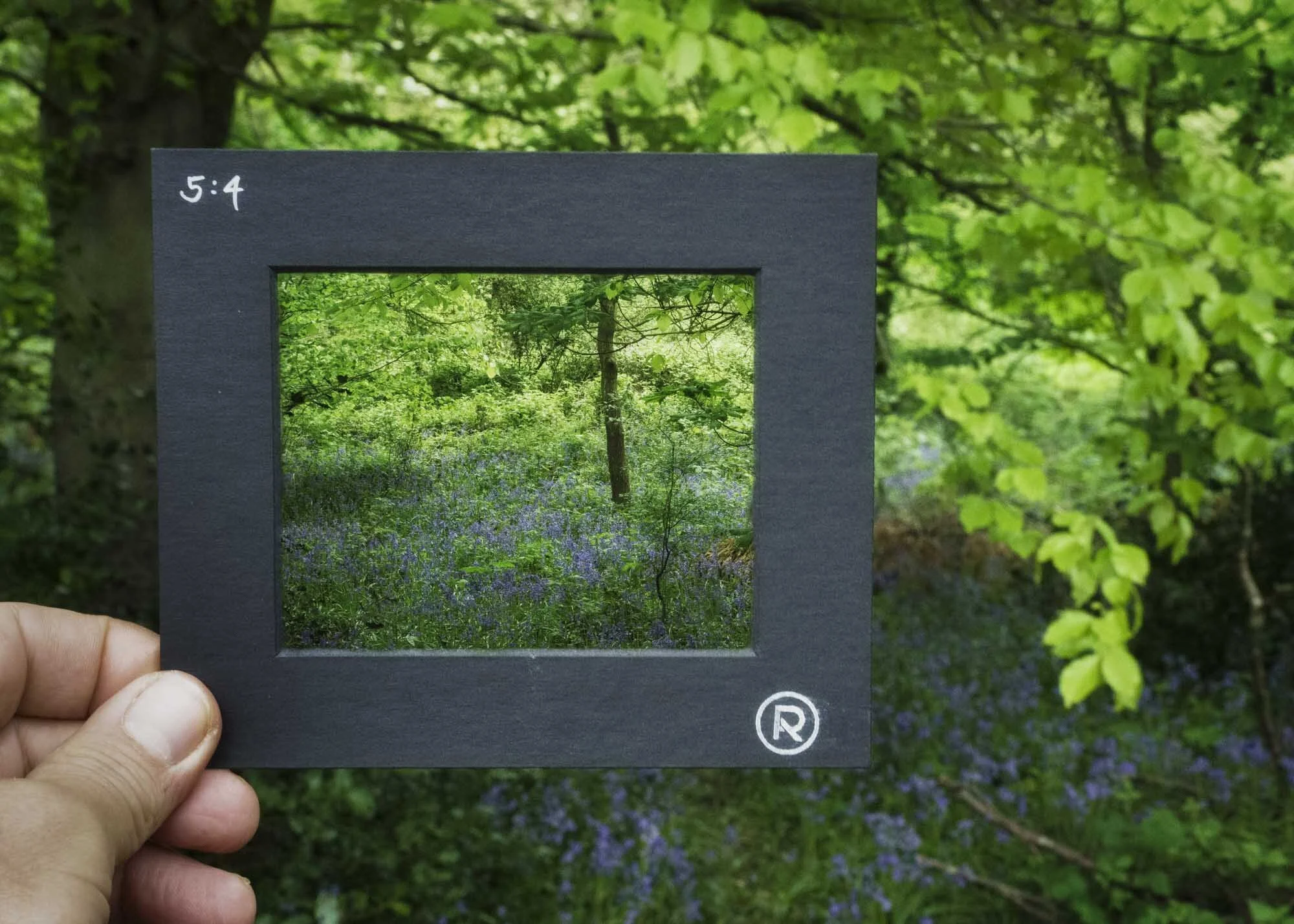 Photographers Composition Aides - Viewing frames launched