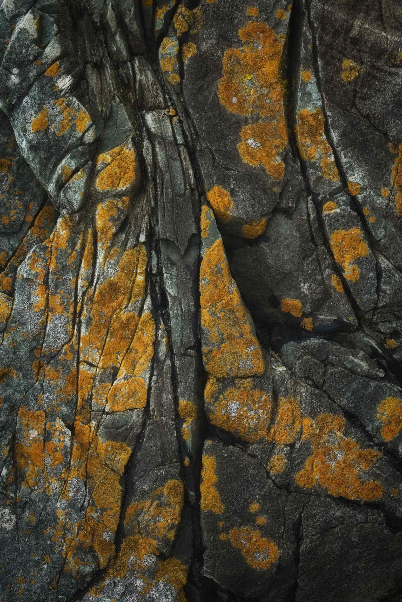 Rock Formation #66
