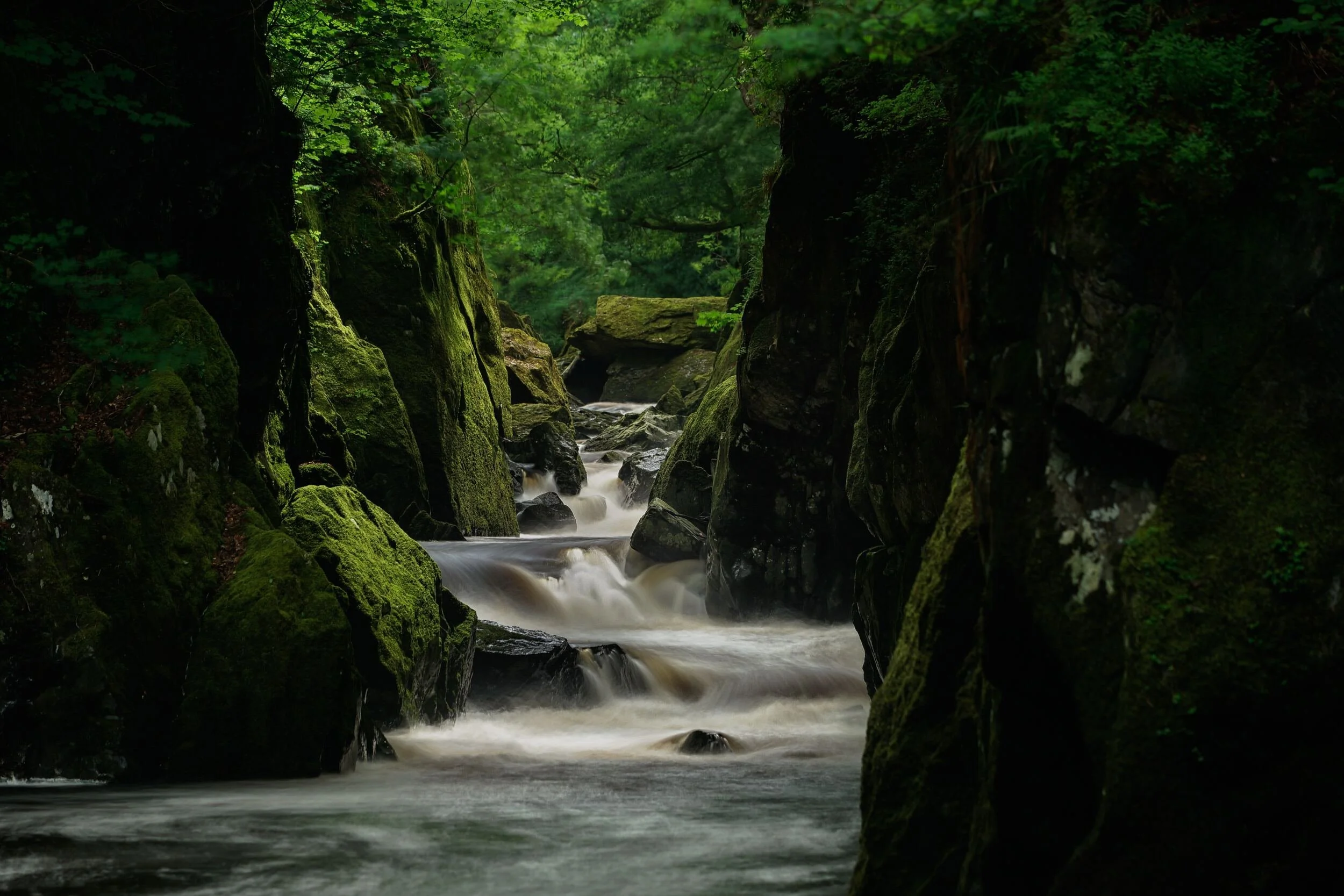 Fairy Glen 3