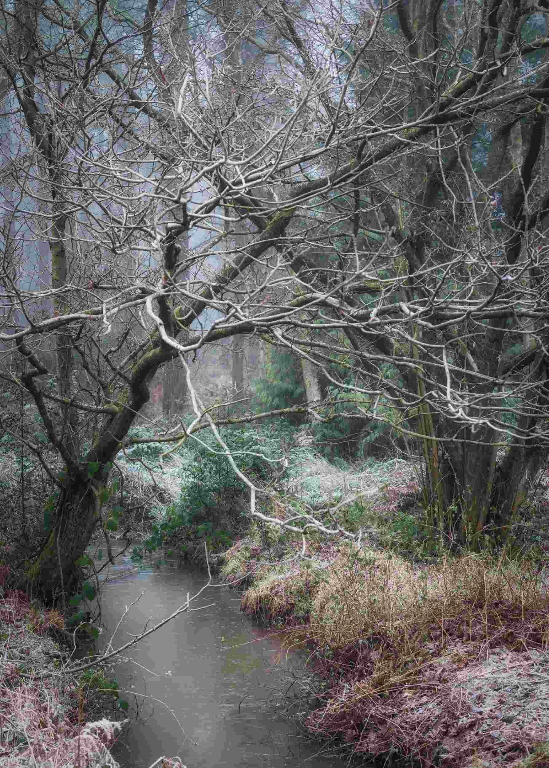 Hay Woods - 2