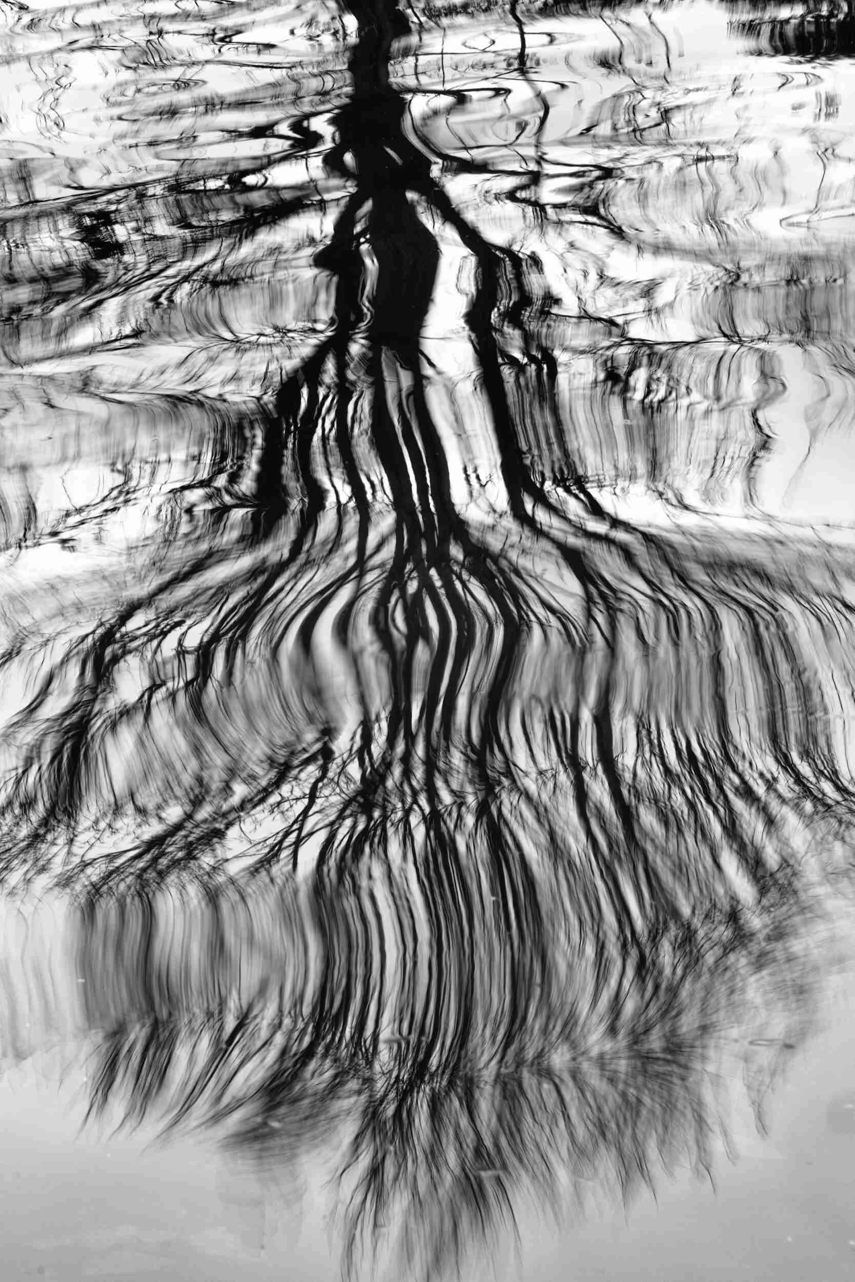 Lapworth Reflections Triptych 2