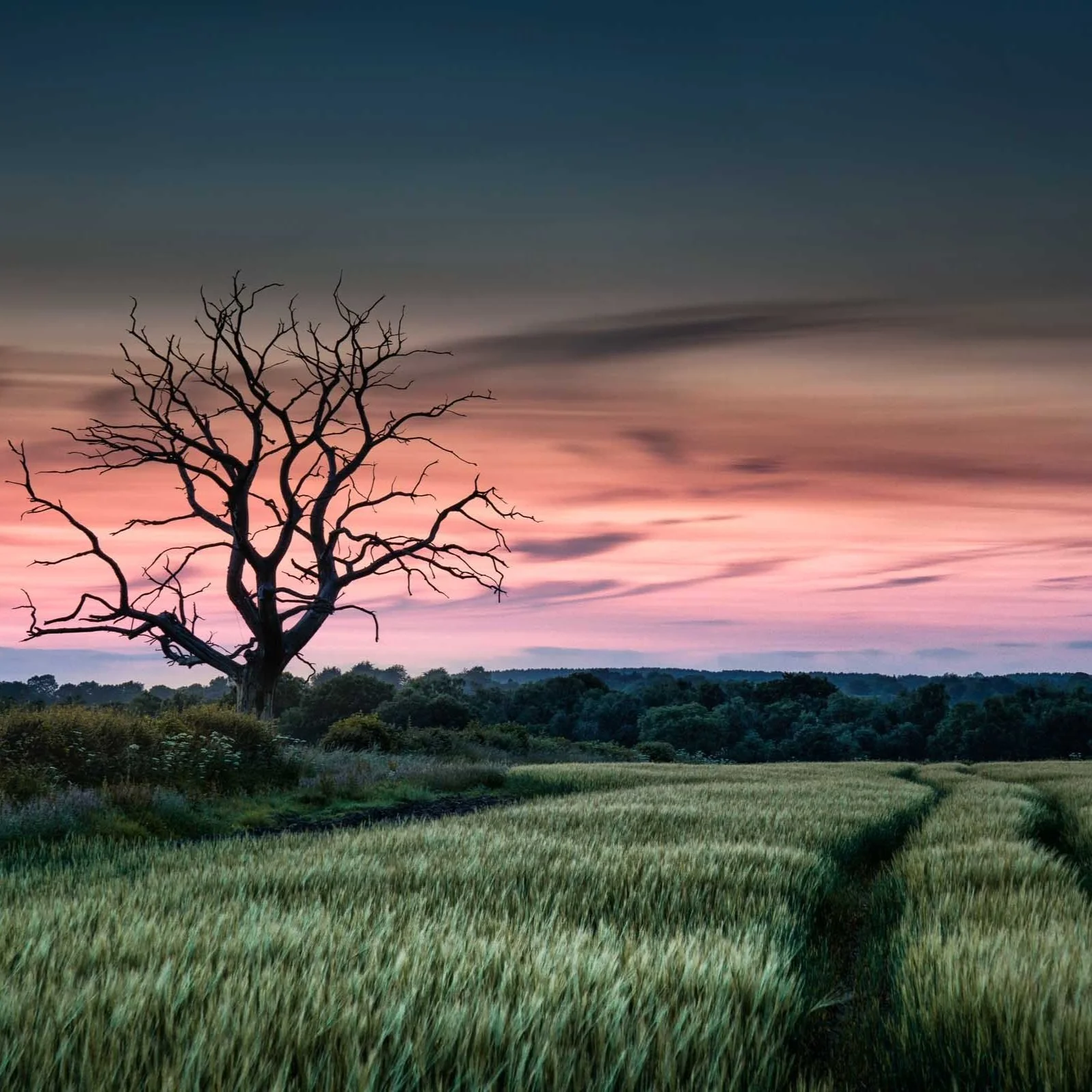 The Ultimate Guide to Summer Landscape Photography