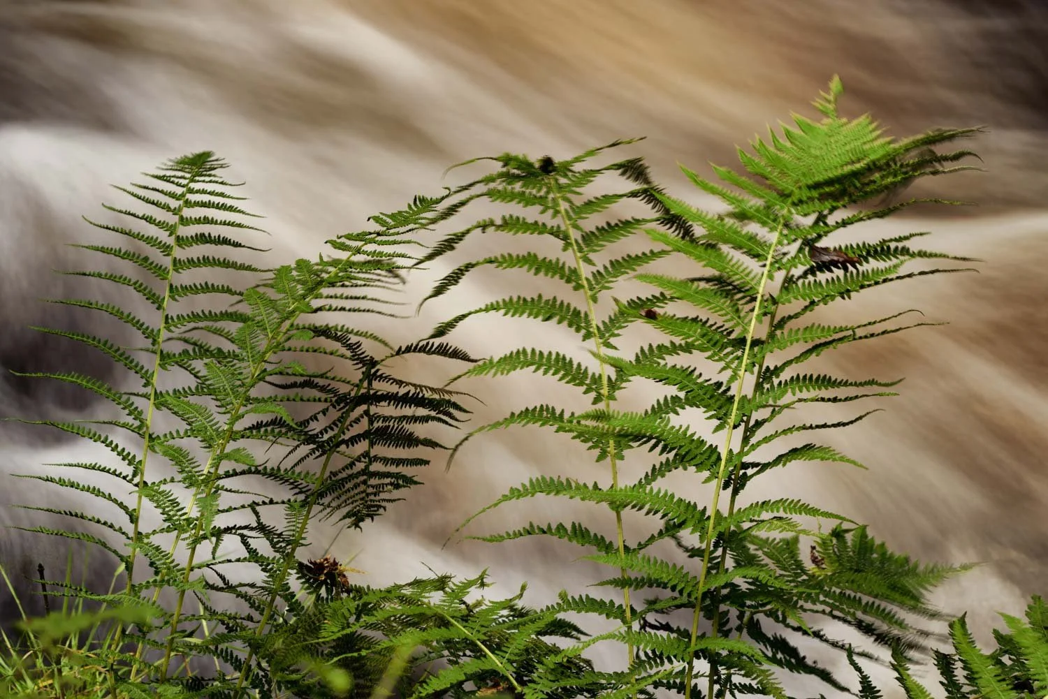 Outdoor Landscape Photography throughout the UK