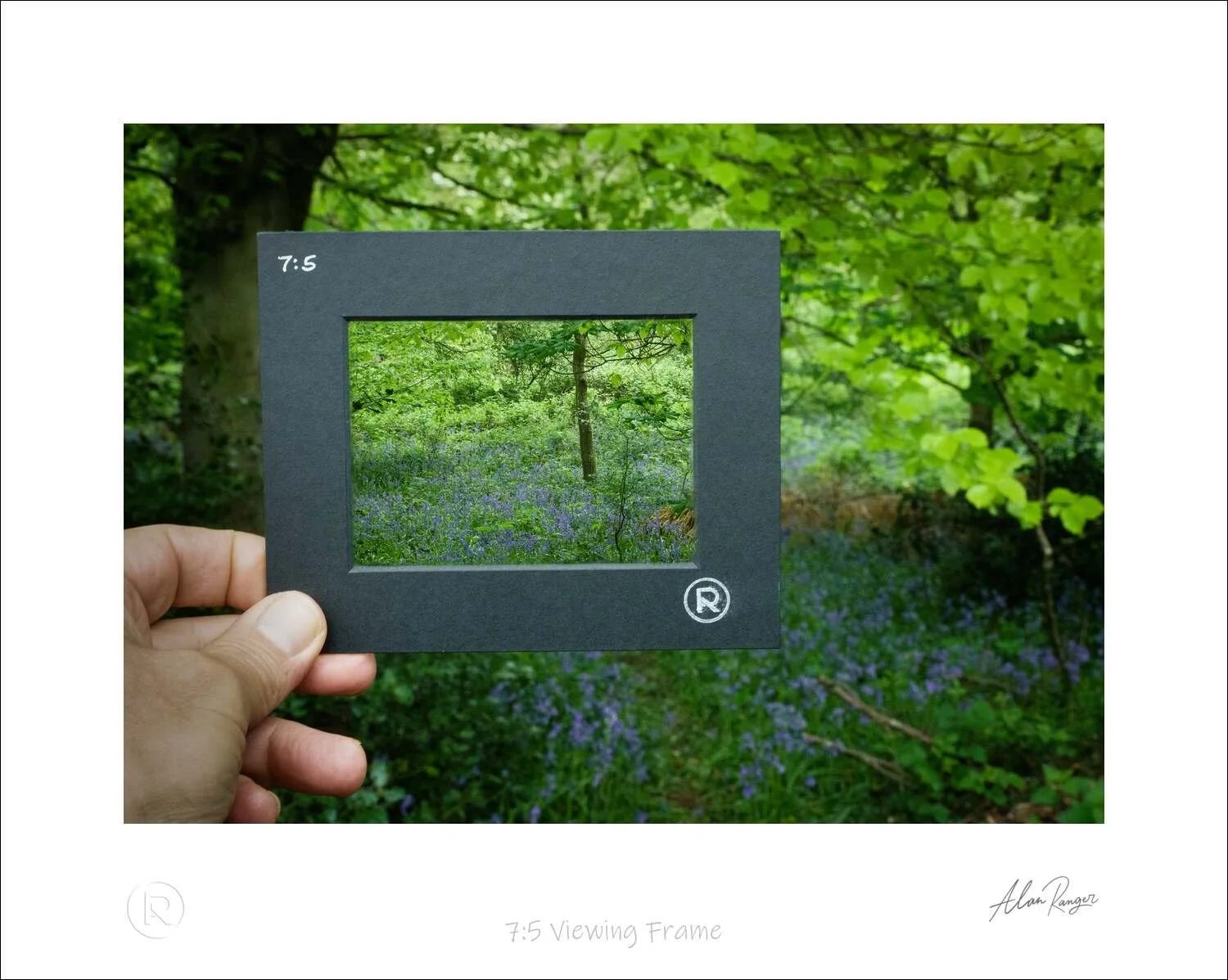 composition viewing frames