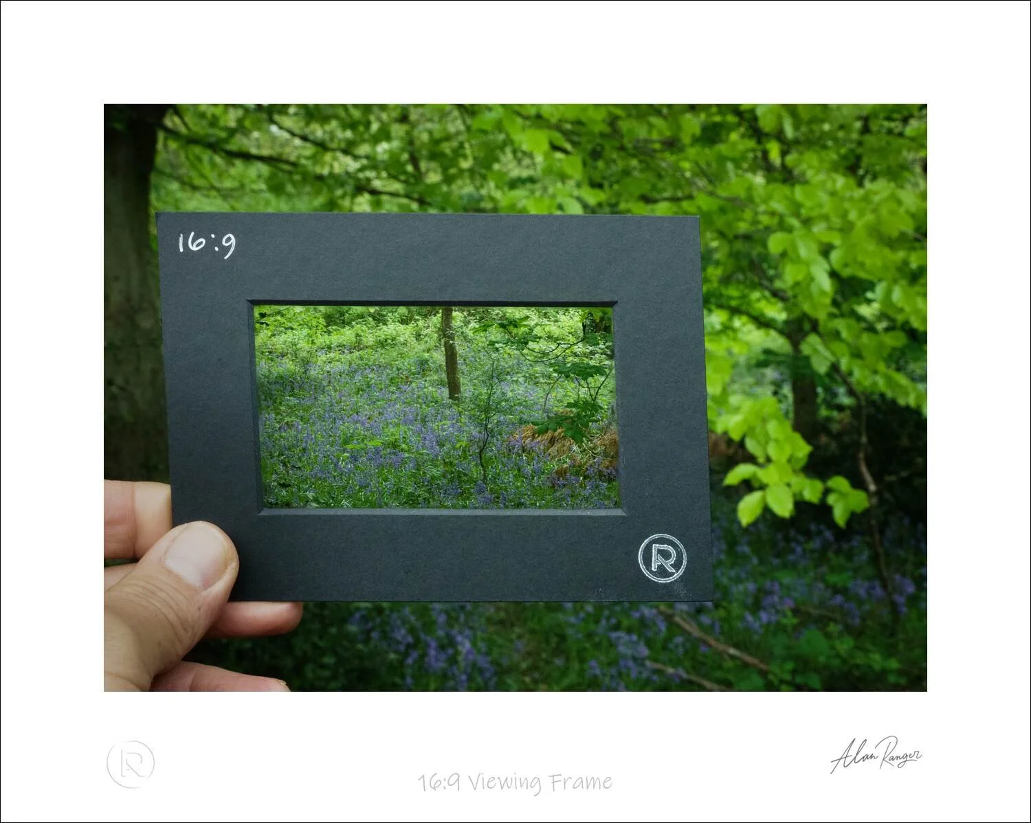 composition viewing frames