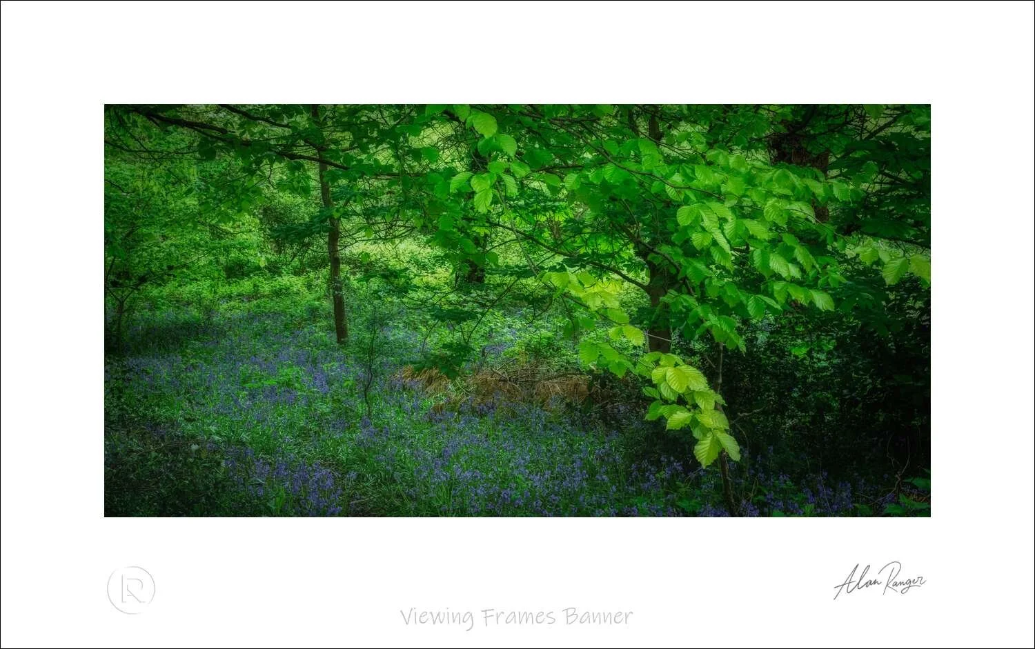 Viewing Frames Banner.jpg