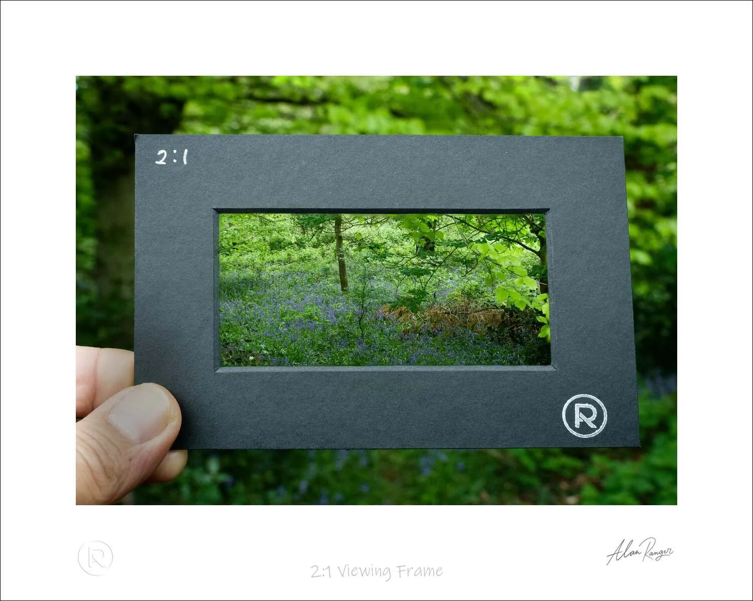 2-1 Viewing Frame.jpg