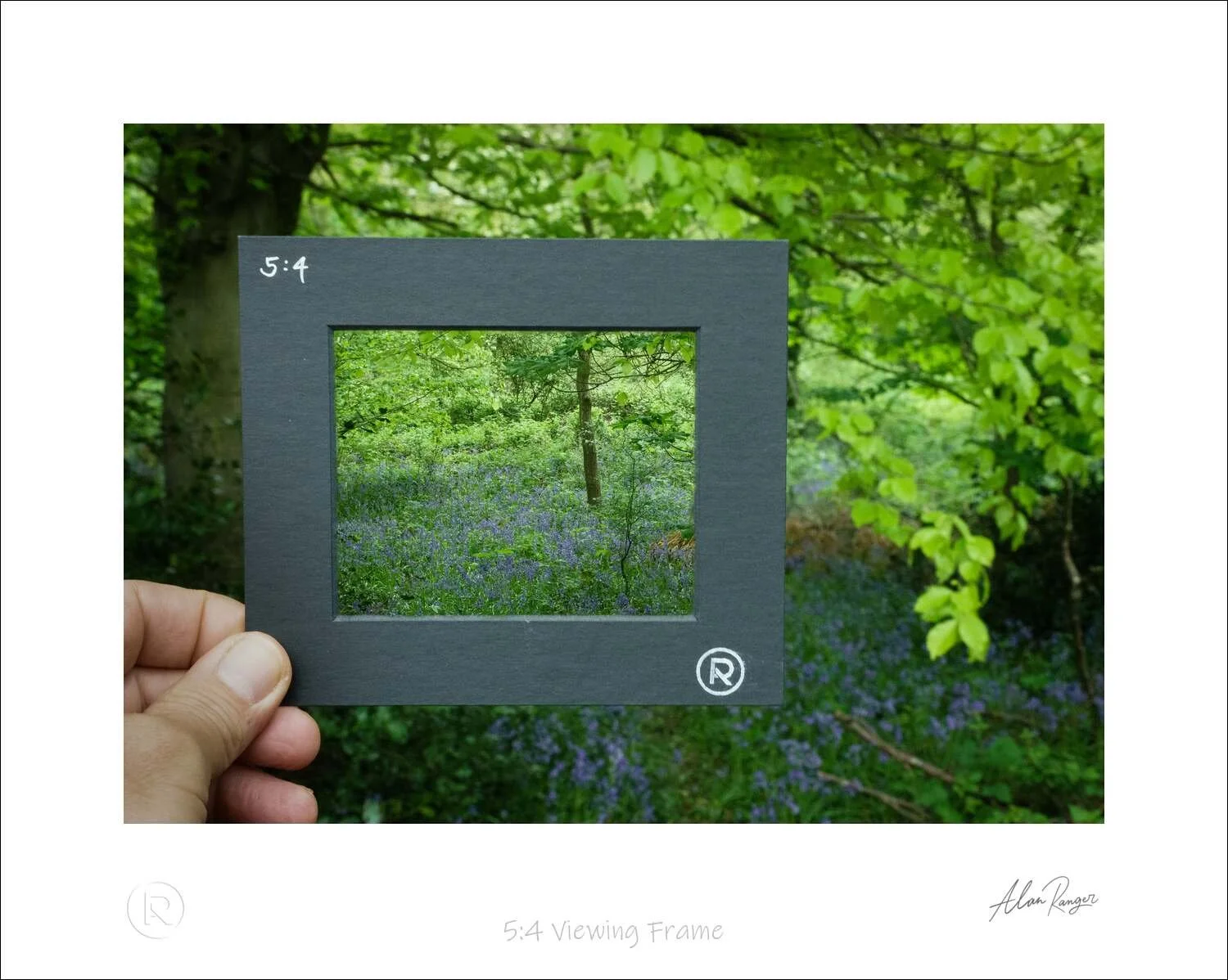 5-4 Viewing Frame.jpg