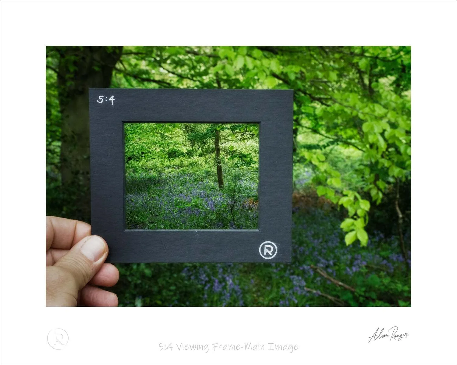 5-4 Viewing Frame-Main Image.jpg