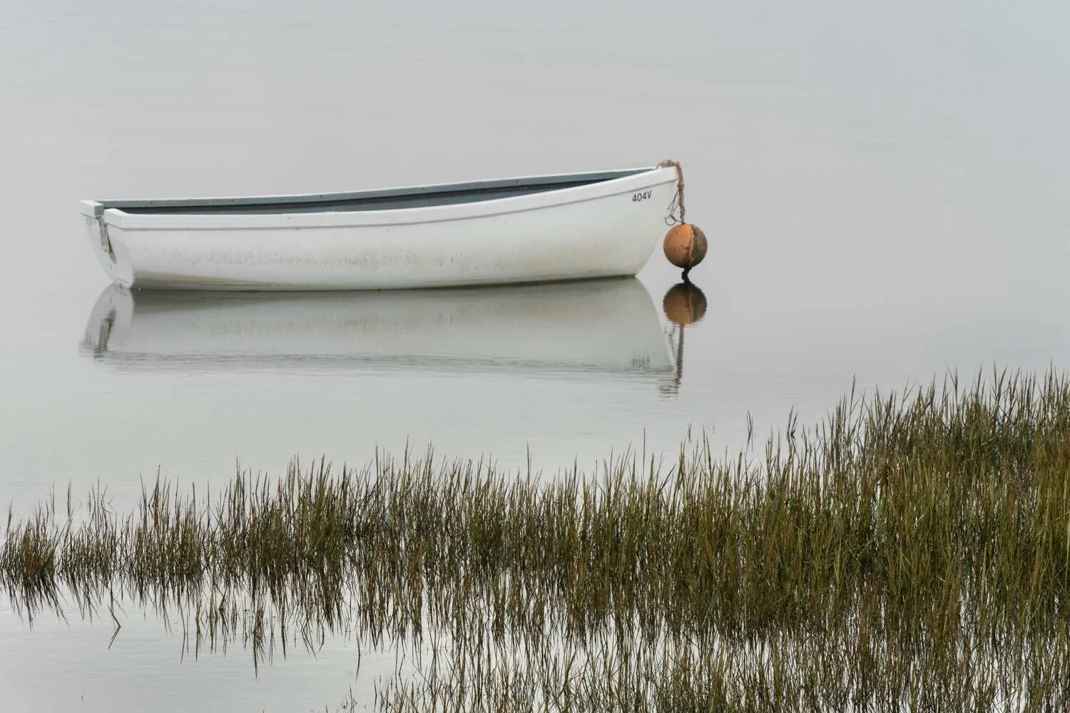 White Boat.jpg
