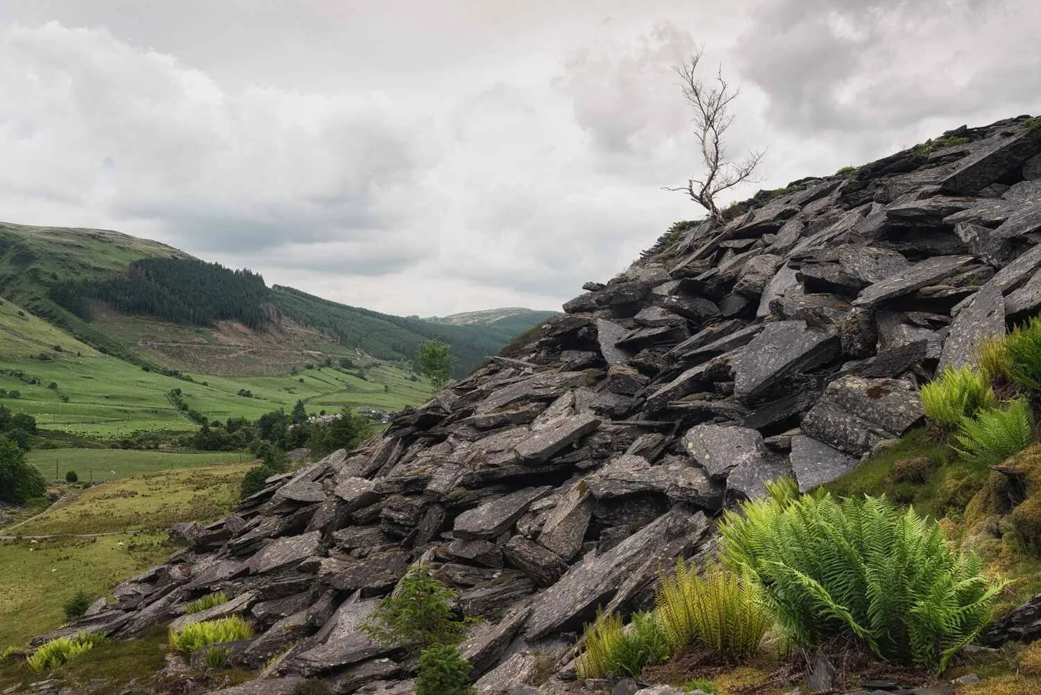 Rhiw Fachno Slate Quarry 1.jpg