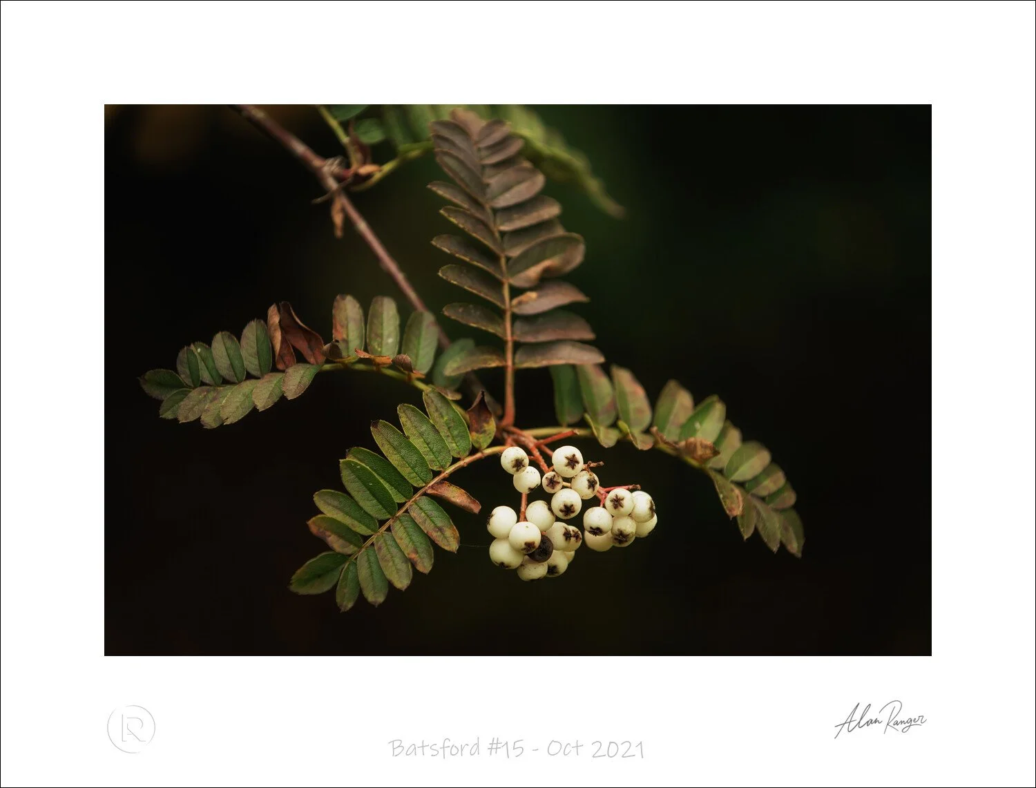 Batsford #15 - Oct 2021.jpg