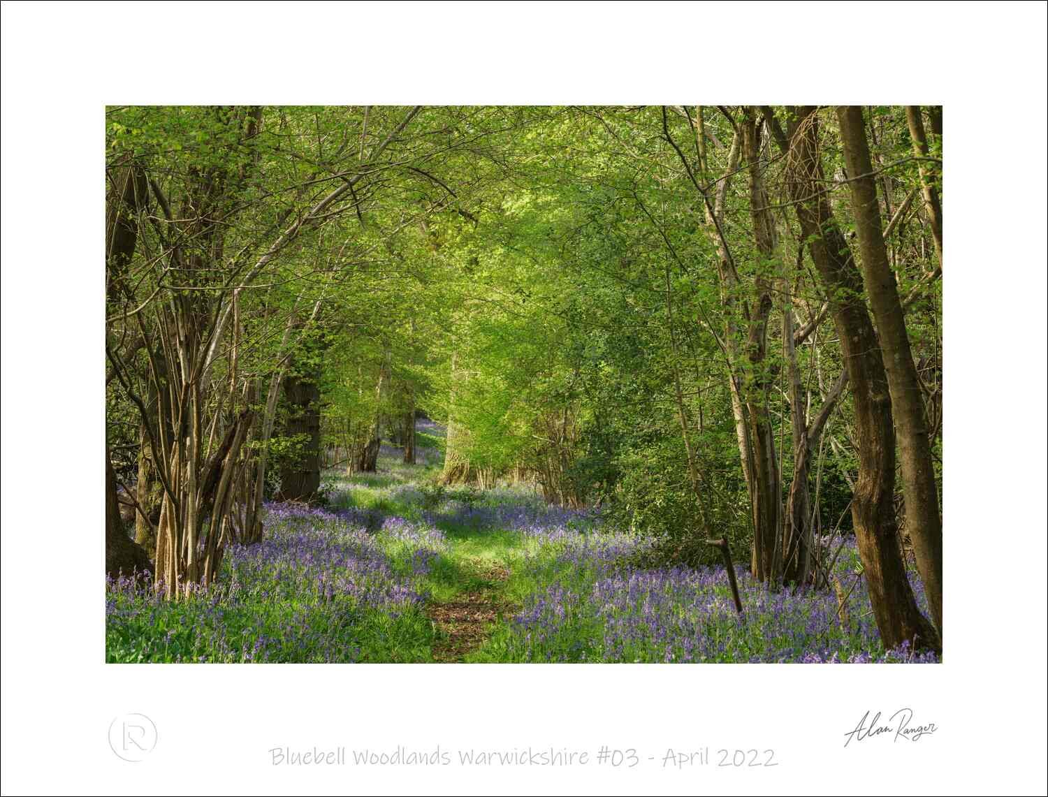 Bluebell Woodlands Warwickshire #03 - April 2022.jpg