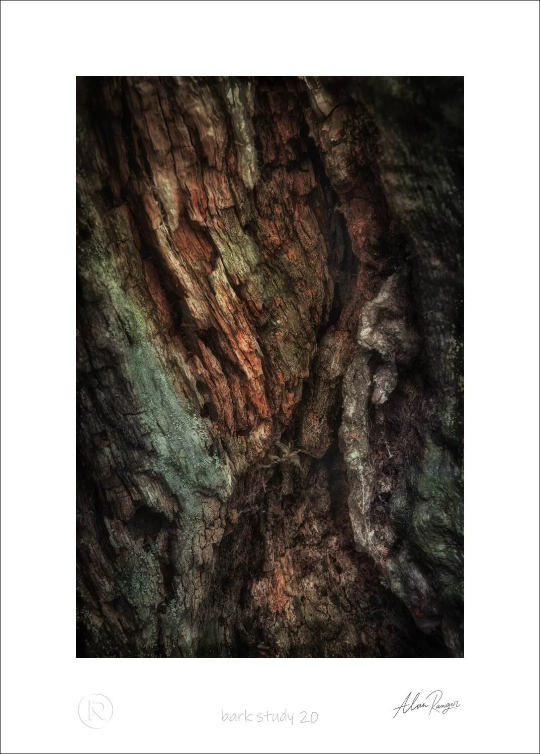 Bark Study 20
