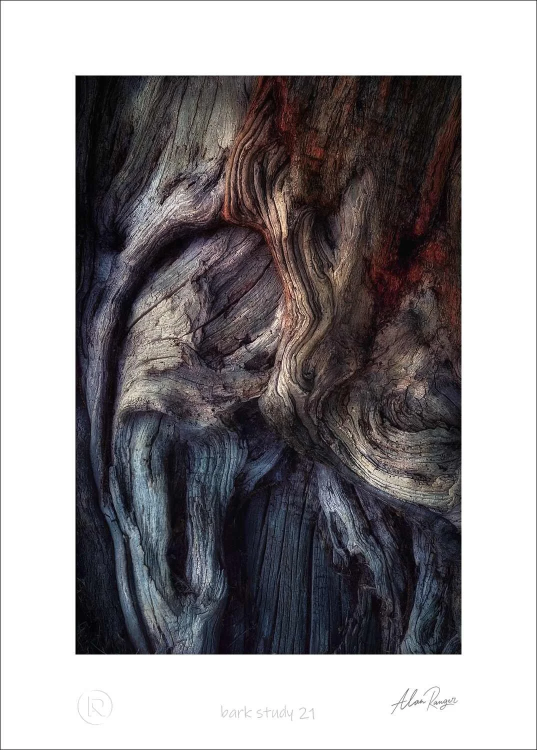 Bark Study 21