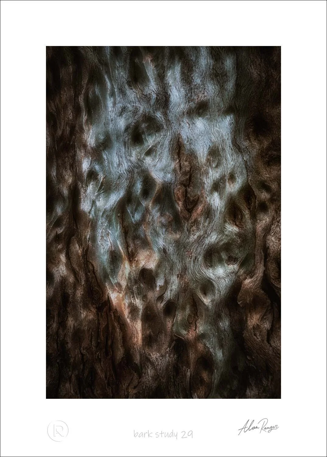 Bark Study 29