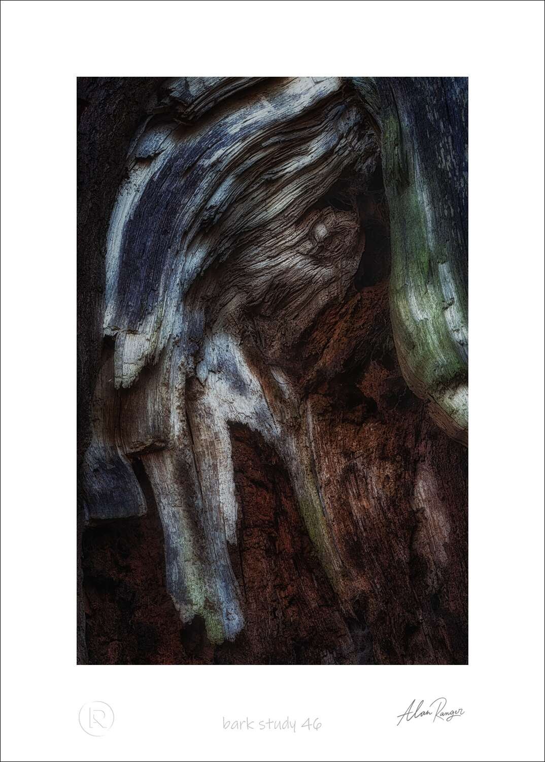Bark Study 46