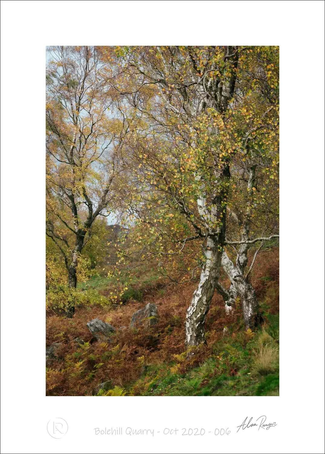 Woodland Photography Spirit