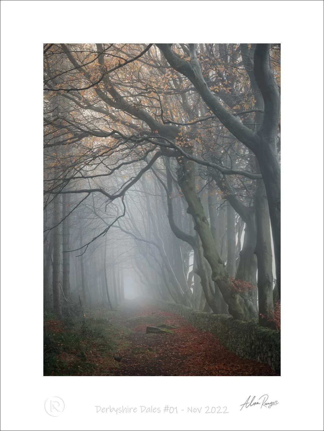 Derbyshire Dales #01 - Nov 2022.jpg