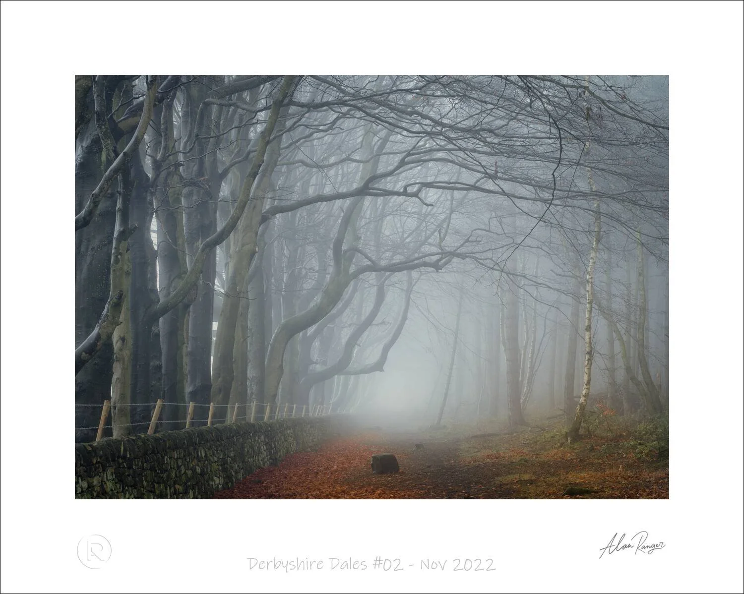Misty woodland in the Derbyshire Dales