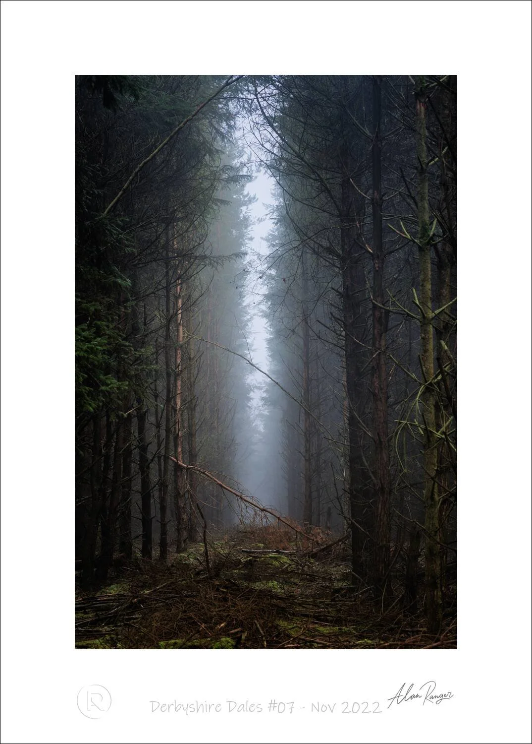 Light passing through woodland in the Derbyshire Dales