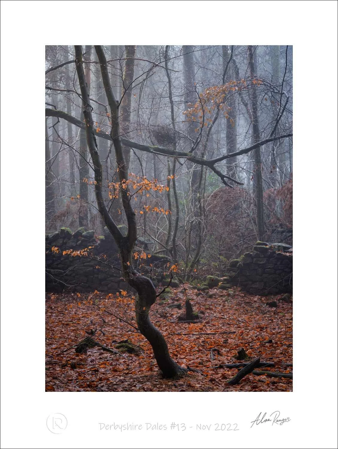 Derbyshire Dales #13 - Nov 2022.jpg