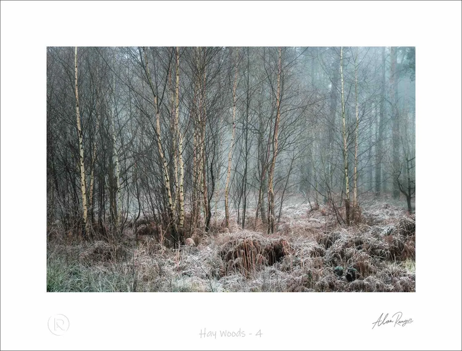 Hay Woods - 4.jpg