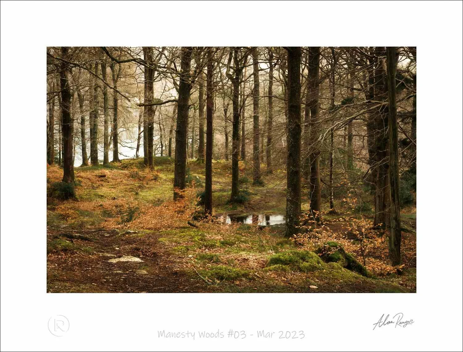 Manesty Woods #03 - Mar 2023.jpg