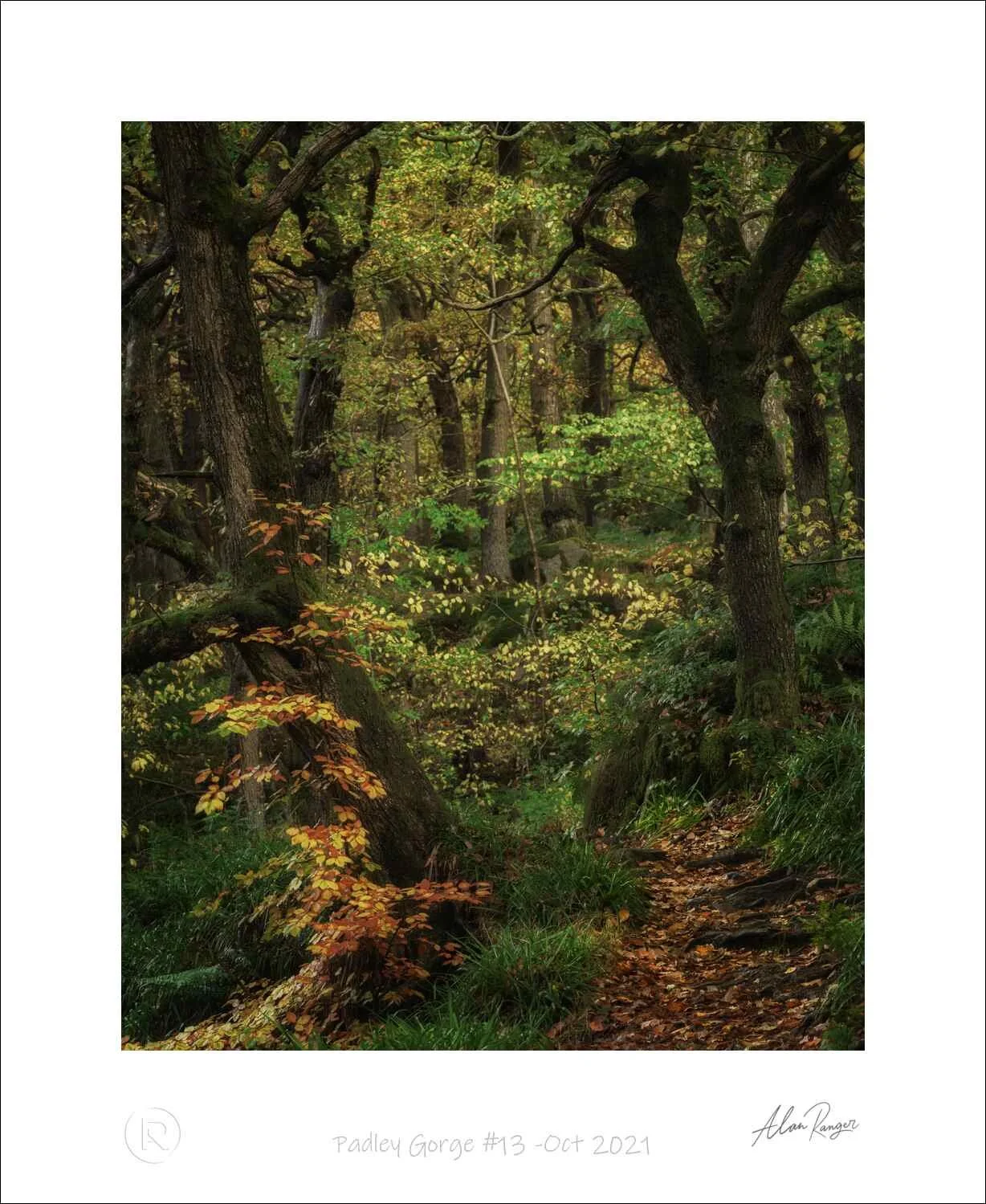 Padley Gorge #13 -Oct 2021.jpg