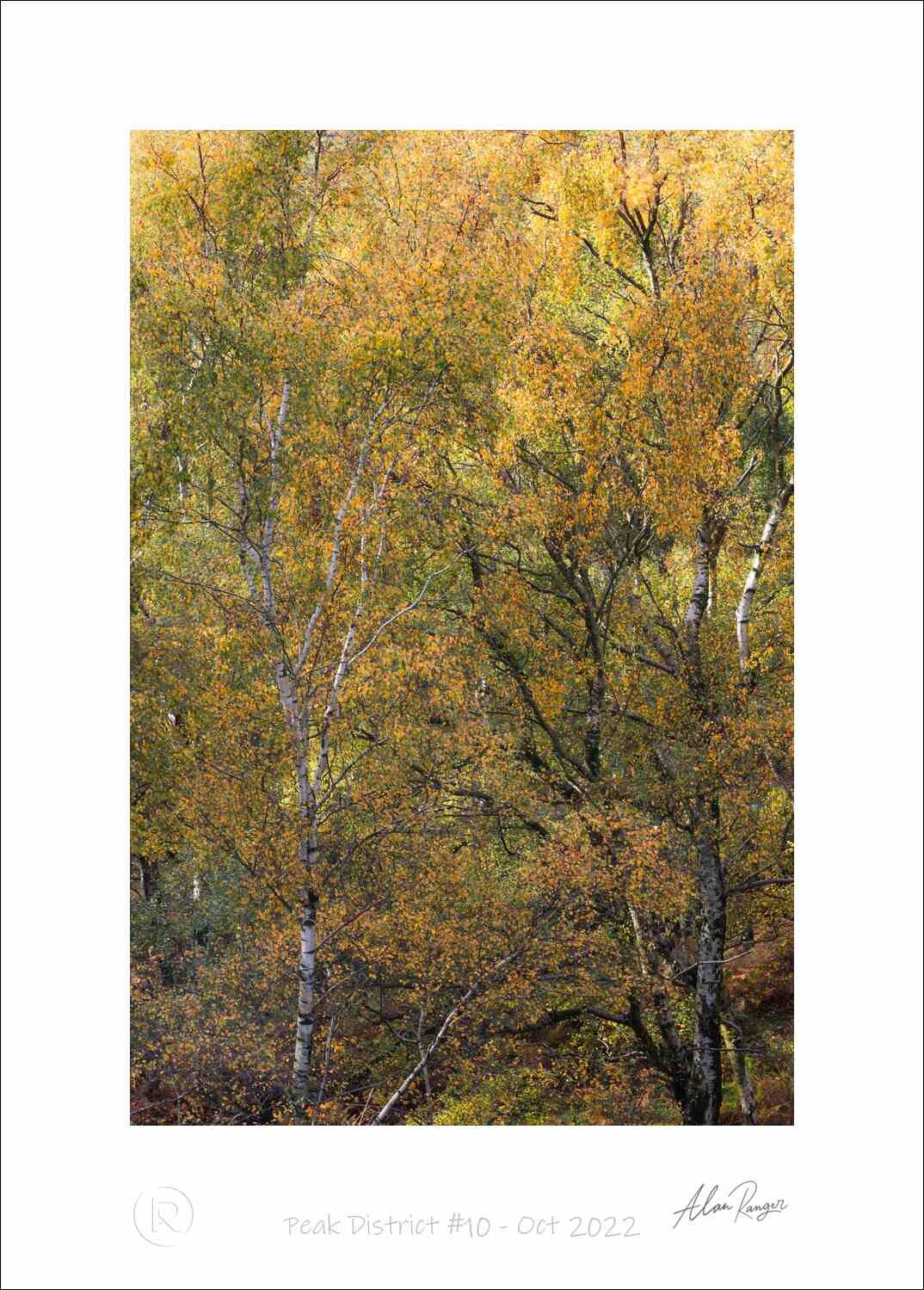 Peak District #10 - Oct 2022.jpg